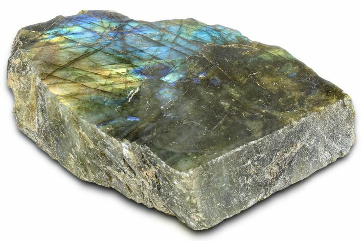 Single Side Polished Labradorite Section - Madagascar #364313